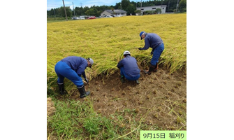 大熊町における営農再開に向けた取り組み