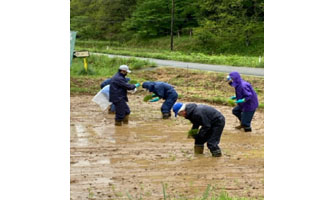 大熊町における営農再開に向けた取り組み