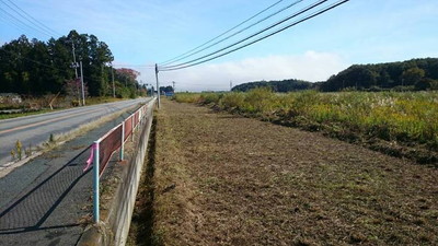 除草作業後の様子[平成26年11月撮影]