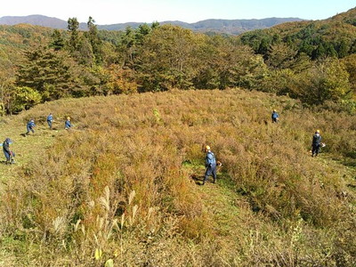 除草作業前の様子 [平成26年10月撮影]