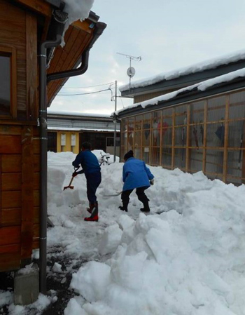 仮設住宅の雪おろしの様子 （１）[平成27年１月撮影]