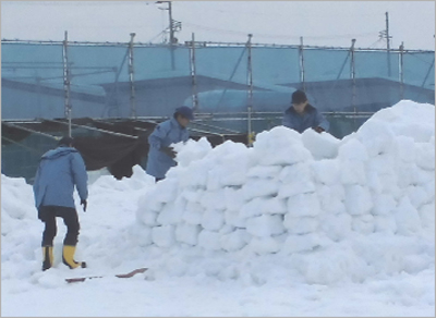 かまくら・雪像作成の様子（１） [平成27年2月撮影]