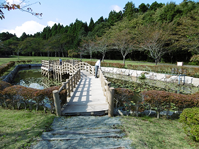 あやめ池（活動前）の様子 （１）[平成27年２月初旬撮影]