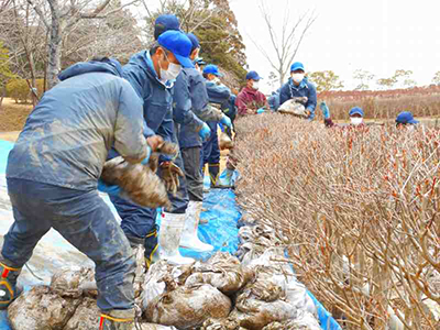 池の外へ搬出の様子 （２）[平成27年２月26日撮影]