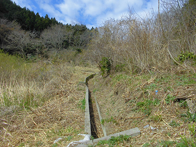 除草後の様子[2015年3月13日撮影]