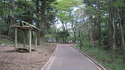 除草後の様子[2015年９月29日撮影]