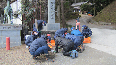 除草の様子[2015年12月17日撮影]