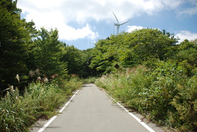 除草前の様子[2016年9月6日撮影]