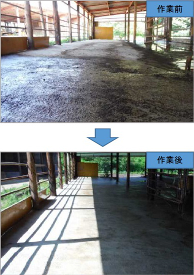 清掃前後の様子[2018年8月4日撮影]