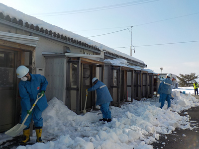 屋根雪下ろしの様子[2019年2月5日撮影]