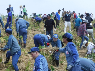 住民の方との植樹の様子[2019年6月2日撮影]