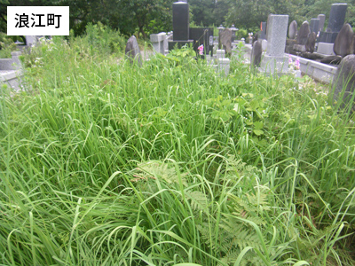 除草作業前[2019年7月19日撮影]