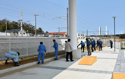 種植えの様子【2020年3月26日撮影】