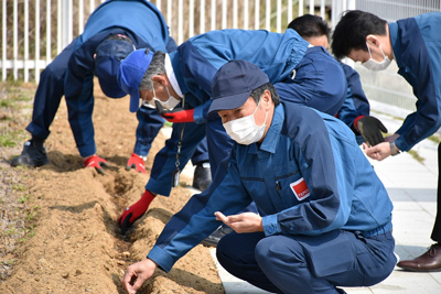 種植えの様子【2020年3月26日撮影】