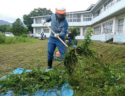大堀小学校 除草後の集積【2020年7月7日撮影】