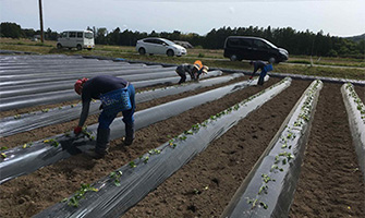 地域の特産品づくりに向けた営農活動の取り組み