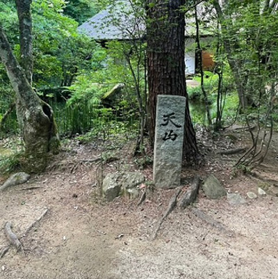 「天山文庫」敷地（清掃後）