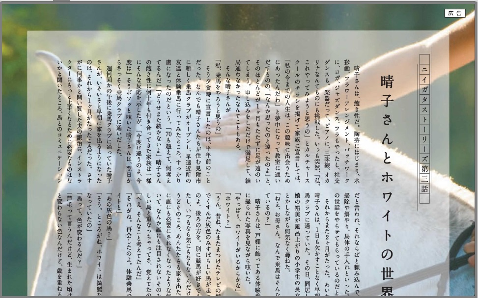 “おとなプラス”