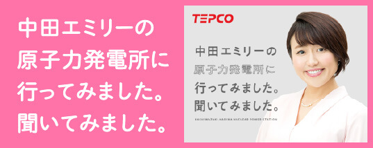 原子力発電所に行ってみました。聞いてみました。