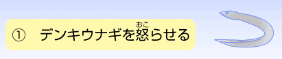 １．でんきウナギを怒らせる