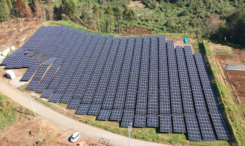 普及が進む太陽光パネル（写真は今回のプロジェクト用に「リソルの森」に設置されたもの）