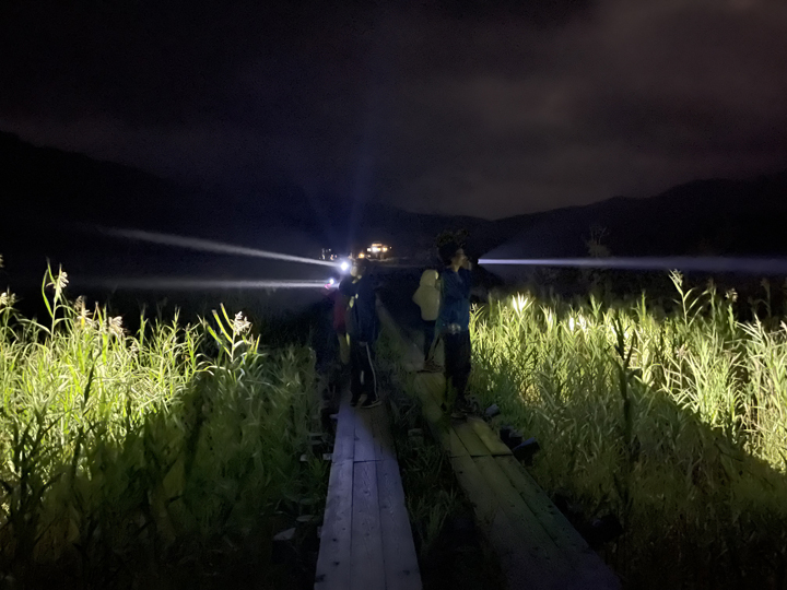 夜間にライトで動物を照らすと、ライトの光を反射し目が光ることを利用して、動物の頭数を数える調査法「ライトセンサス」を体験する子どもたち