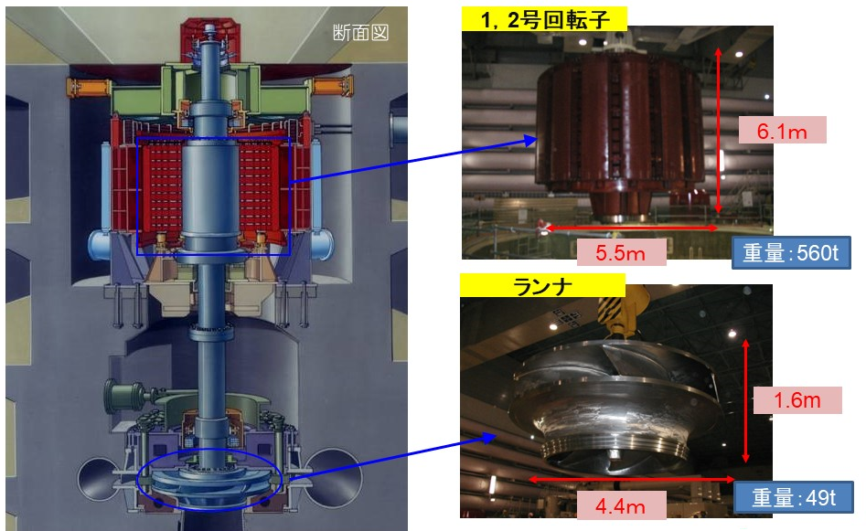 揚水発電の水車・発電機の断面。発電時は水圧で下部の水車ランナを回転させ、主軸を通して回転子を回し発電。揚水時は回転子がモーターとして逆回転、ランナがポンプとなり水を汲み上げる